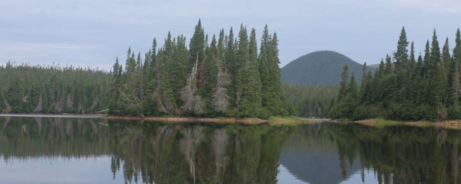 Auberge Cloud 9 Salmon Lodge — Cloud 9 Salmon Lodge Inc. – Cloud 9 Salmon Lodge Inc.
