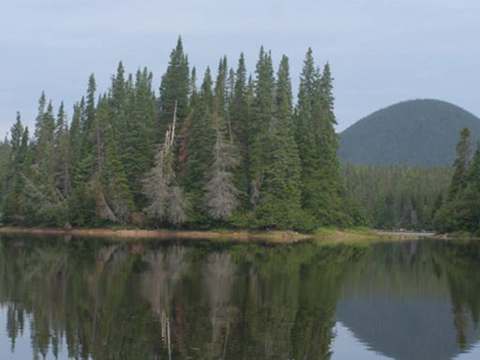 Auberge Cloud 9 Salmon Lodge – Cloud 9 Salmon Lodge Inc.