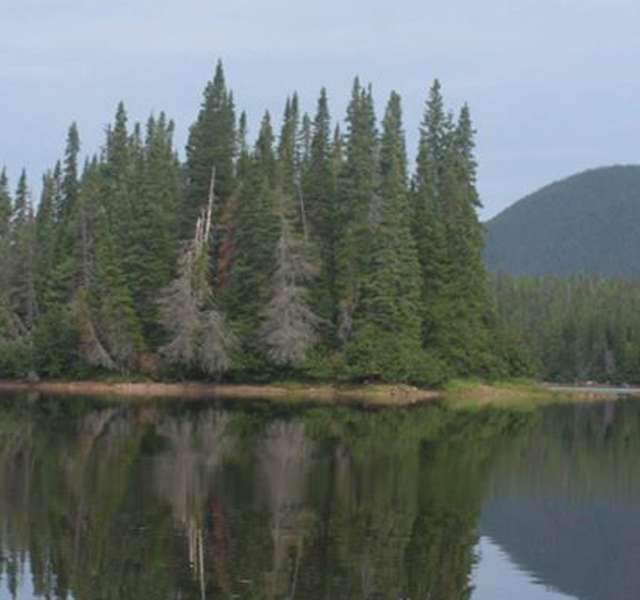 Photo of Cloud 9 Salmon Lodge Inc. in Labrador Coastal Drive, NL