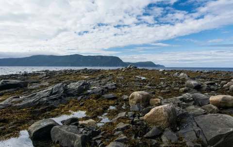 Photo of Ray's Hunting & Fishing Lodge Ltd. in Central Newfoundland, NL