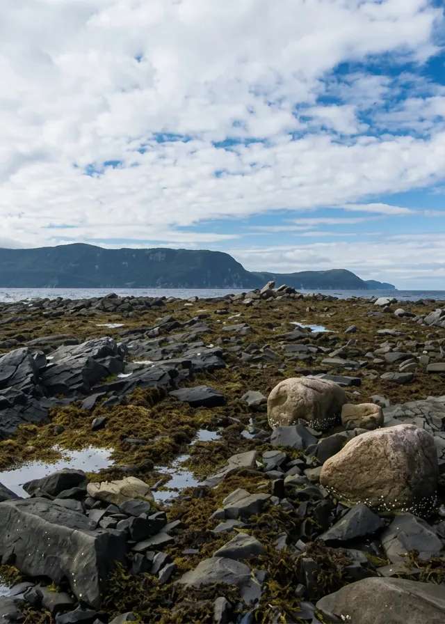 Photo of Ray's Hunting & Fishing Lodge Ltd. in Central Newfoundland, NL