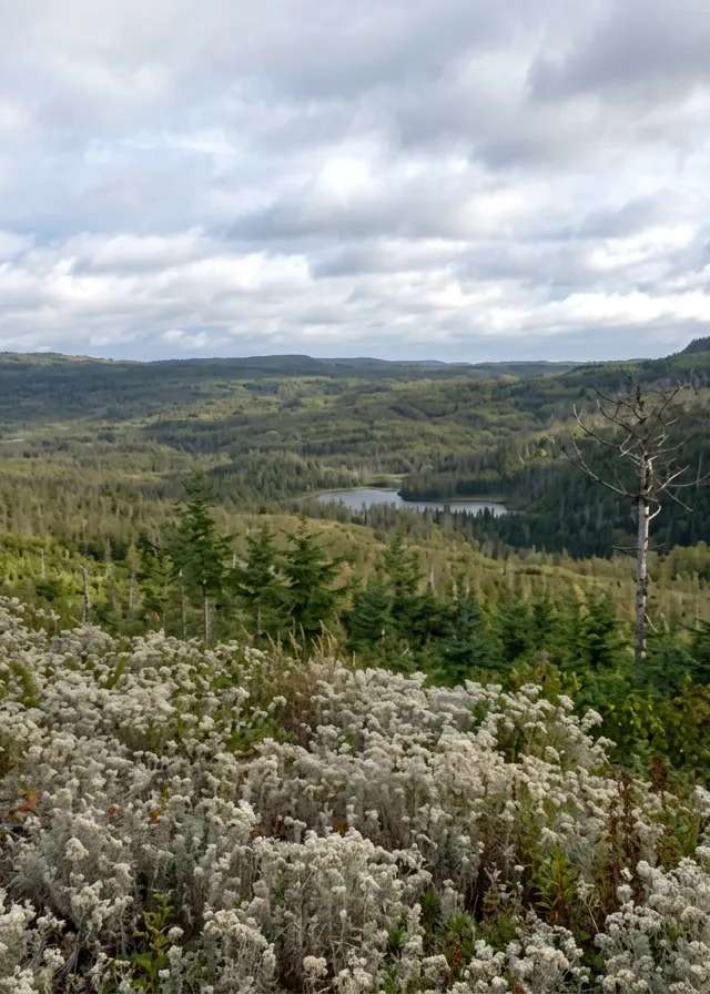 Photo de West Woods Outfitters sur la Côte Ouest, Nl