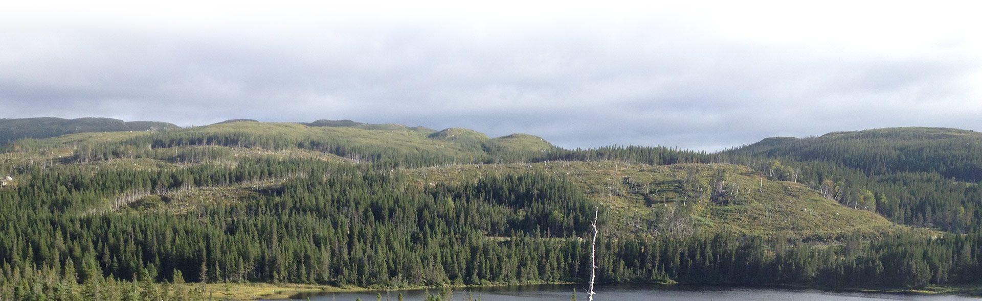 Photo of Taylor's Brook Outfitting in West Coast, NL