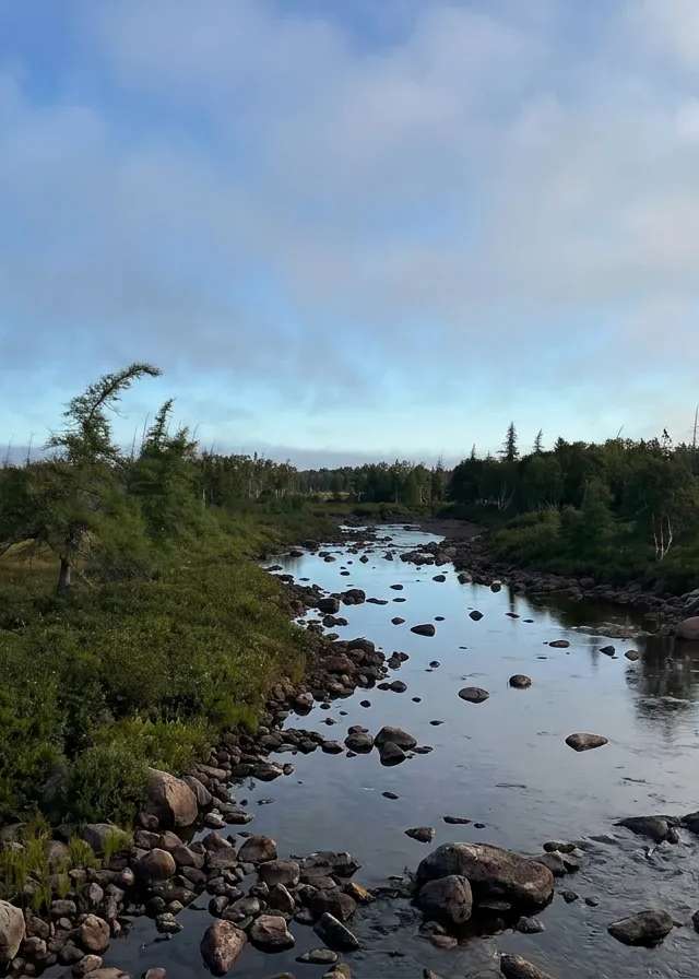 Photo de Newfoundland Adventures au Centre de Terre-Neuve, Nl