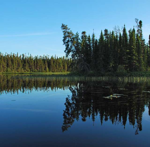 Photo de Américree à Eeyou Istchee Baie-James, Qc