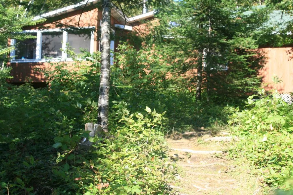 Le camp Malfait est situé en bordure de forêt avec un sentier menant directement au bâtiment.