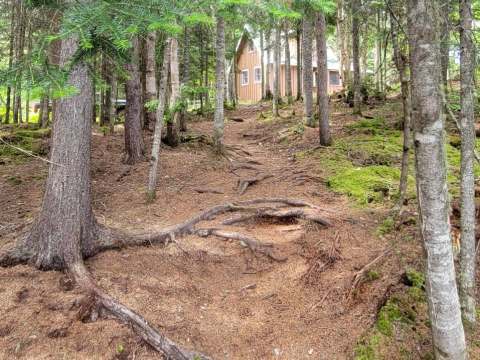 The Troll chalet is revealed at the end of a wooded path in the heart of nature.
