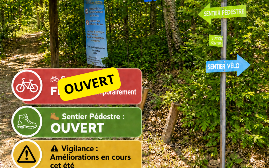 Camping - Secteurs A, B, C — Pourvoirie et Camping Pimodan – Pourvoirie et Camping Pimodan