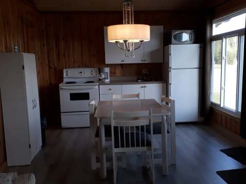 The cottage's functional kitchen features a dining table, appliances, and wooden walls.