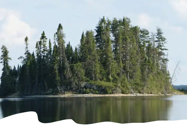 Photo of Chalets Baie du Sud in Mauricie, QC