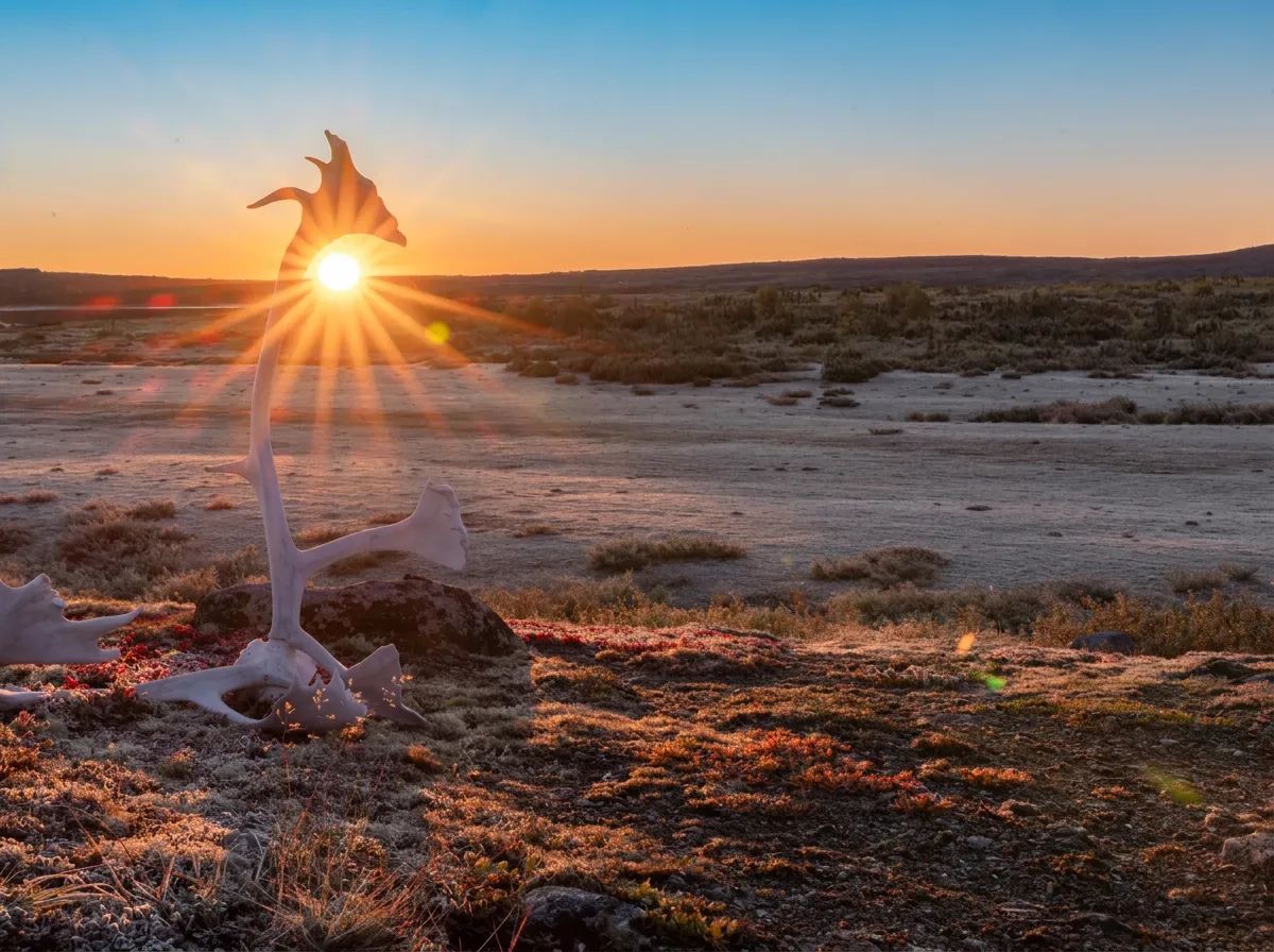 Photo de NunaWild au Nunavik, Qc