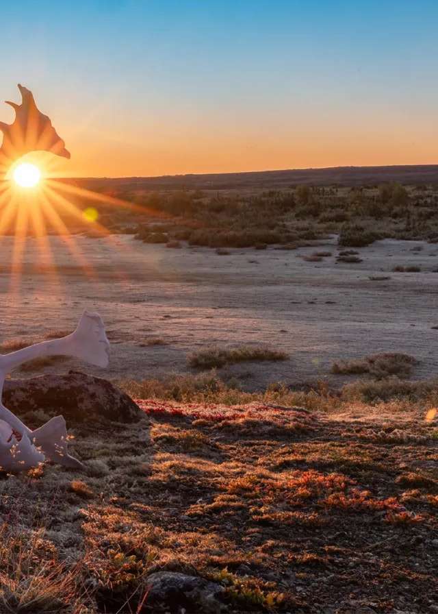 Photo de NunaWild au Nunavik, Qc