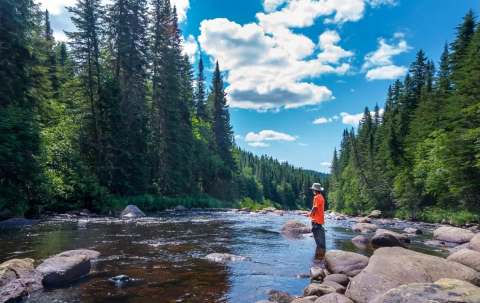 Photo de Pourvoirie Forêt Montmorency-Université Laval à Québec, Qc