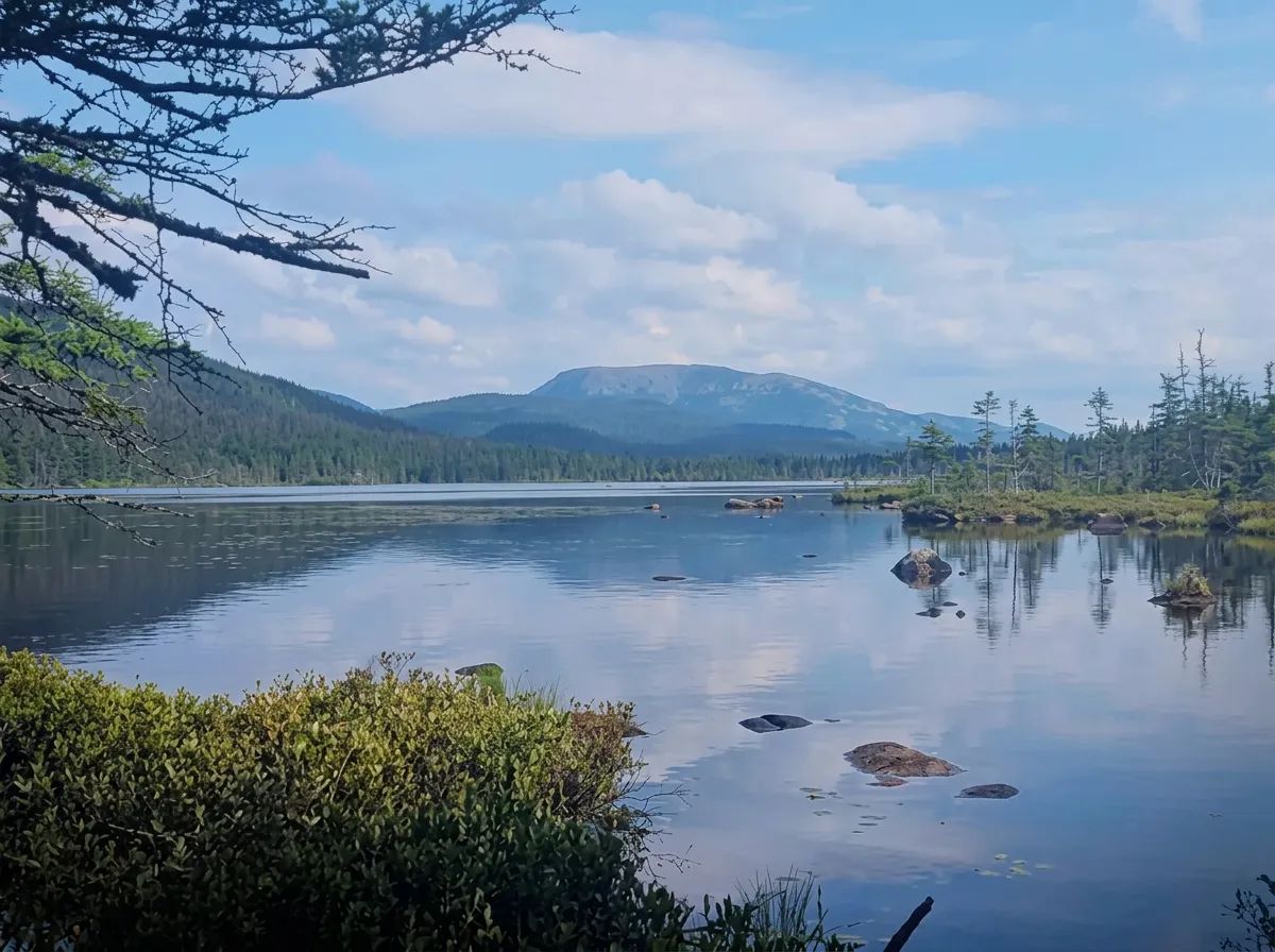 Photo de Club Gourmet en Gaspésie et Îles-de-la-Madeleine, Qc