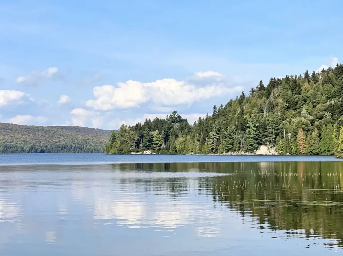Photo of Les Chasses Nemrod in Lanaudière, QC