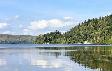 Photo de Les Chasses Nemrod à Lanaudière, Qc