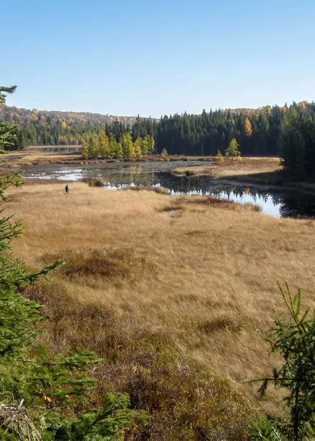Photo de La Pourvoirie Nadeau en Outaouais, Qc
