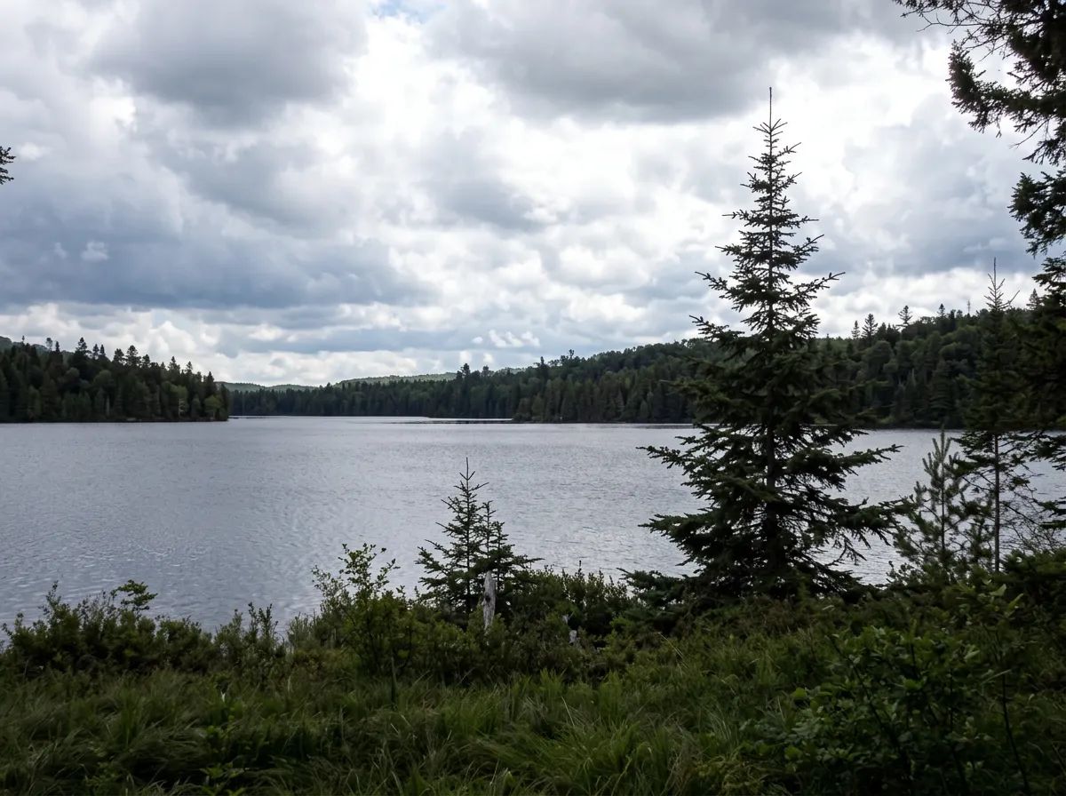 Forfaits de chasse au gros gibier à l'orignal — Pourvoirie Coucou – Pourvoirie Coucou