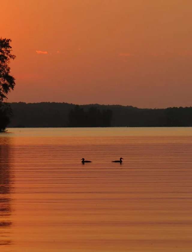 Photo of Lake Despair Lodge in Sunset Country, ON