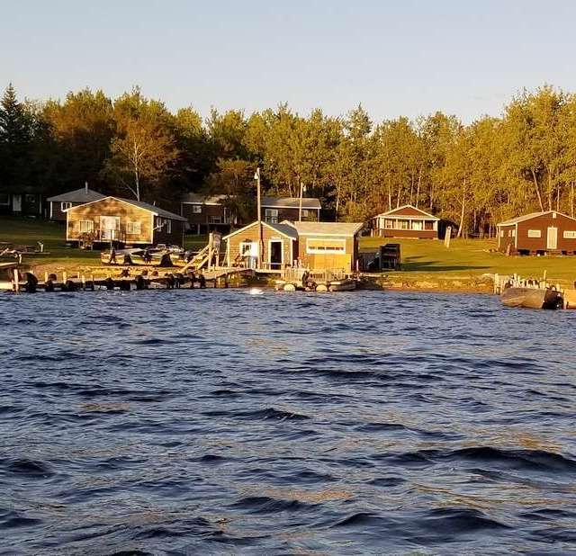Photo de Long Legged Lake Lodge dans le Sunset Country, On