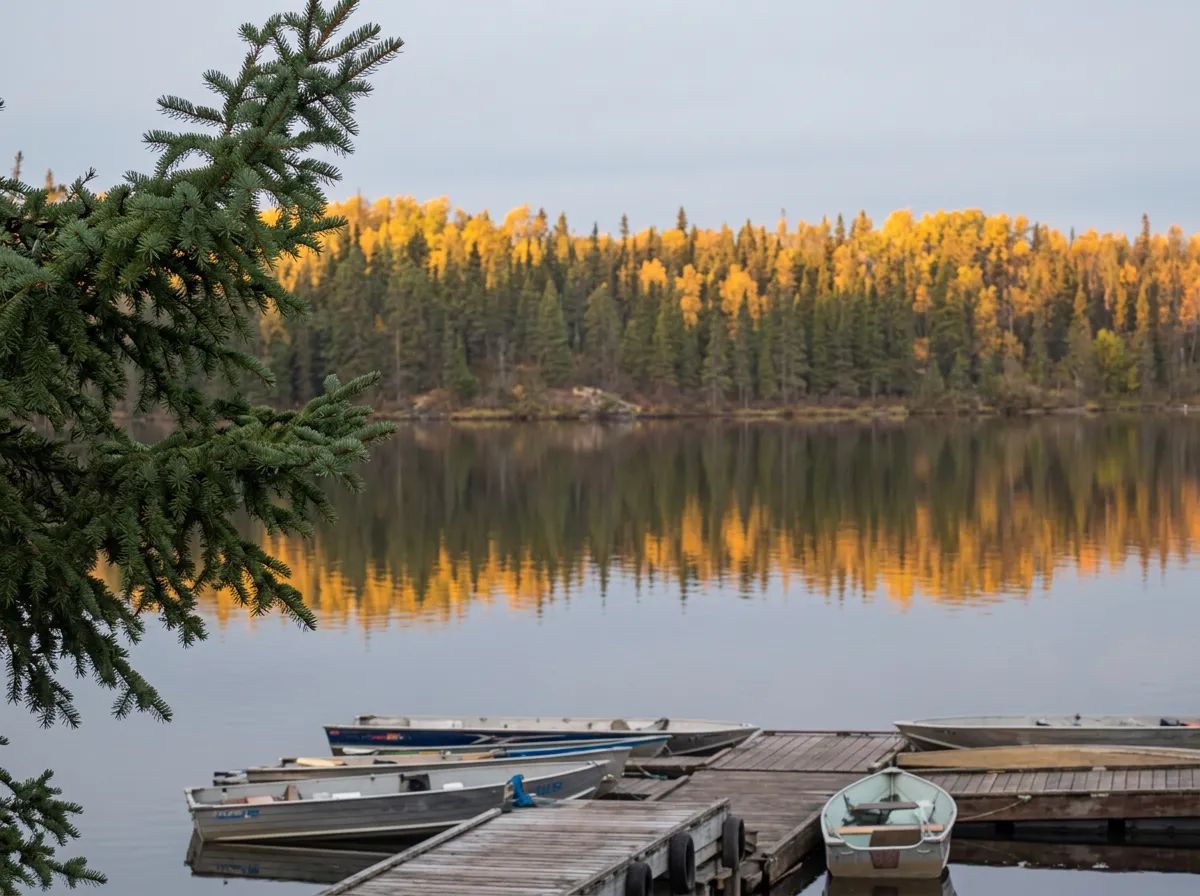 Forfaits de pêche au doré — Perch Lake Lodge – Perch Lake Lodge
