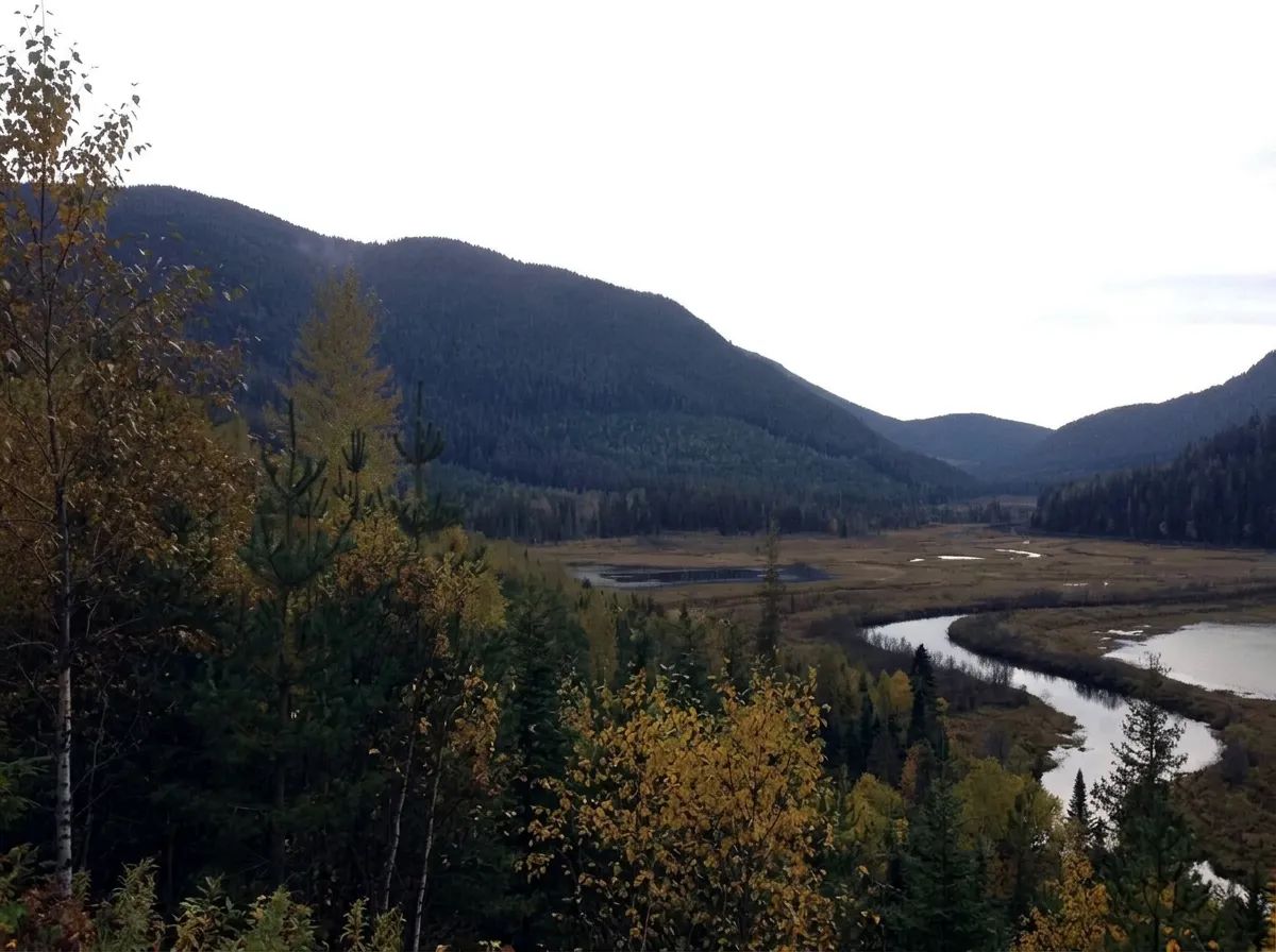 Photo of Adams Lake Outfitters in Thompson, BC