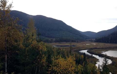 Photo of Adams Lake Outfitters in Thompson, BC