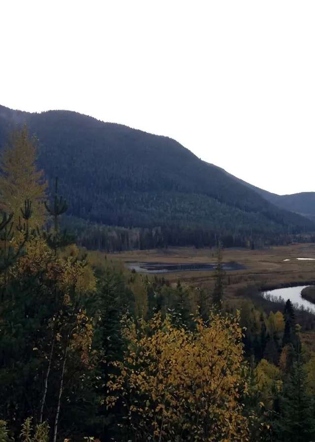 Photo of Adams Lake Outfitters in Thompson, BC