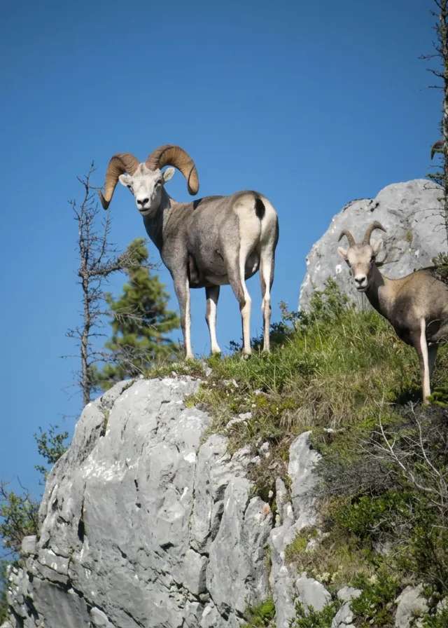 Photo de Ashnola Guide Outfitters dans les Okanagan, Bc