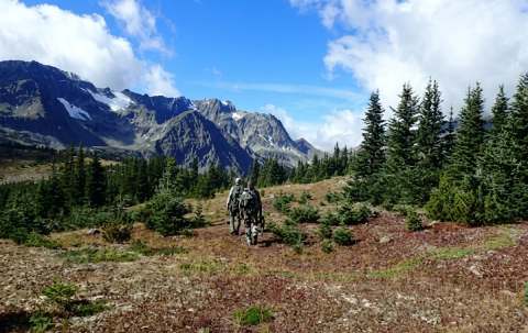 Photo of Babine Guide Outfitters in Skeena Country, BC