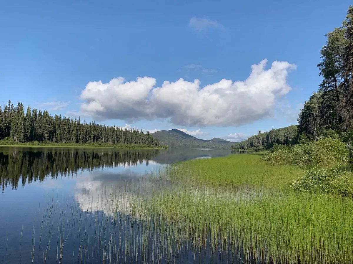Photo de Bowron River Guiding dans les Omineca, Bc