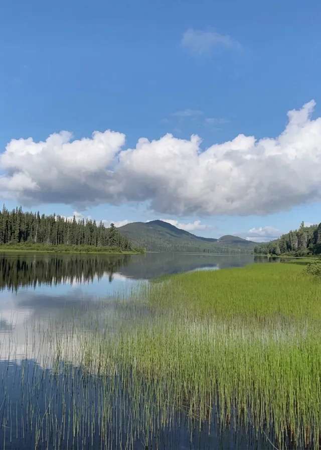 Photo of Bowron River Guiding in Omineca, BC