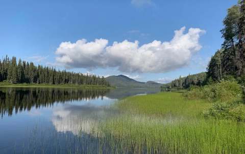 Photo de Bowron River Guiding dans les Omineca, Bc