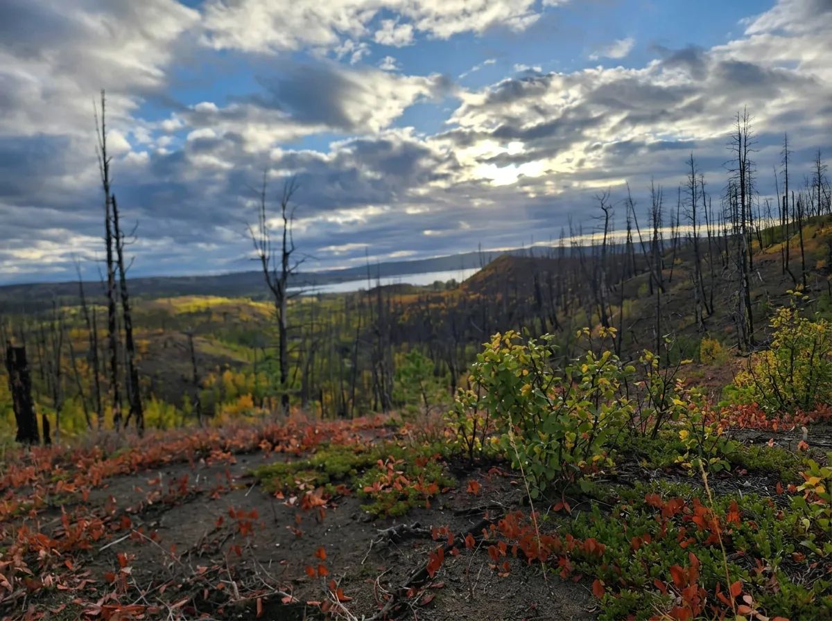 Photo of Chilanko Forks Outfitters in Cariboo, BC