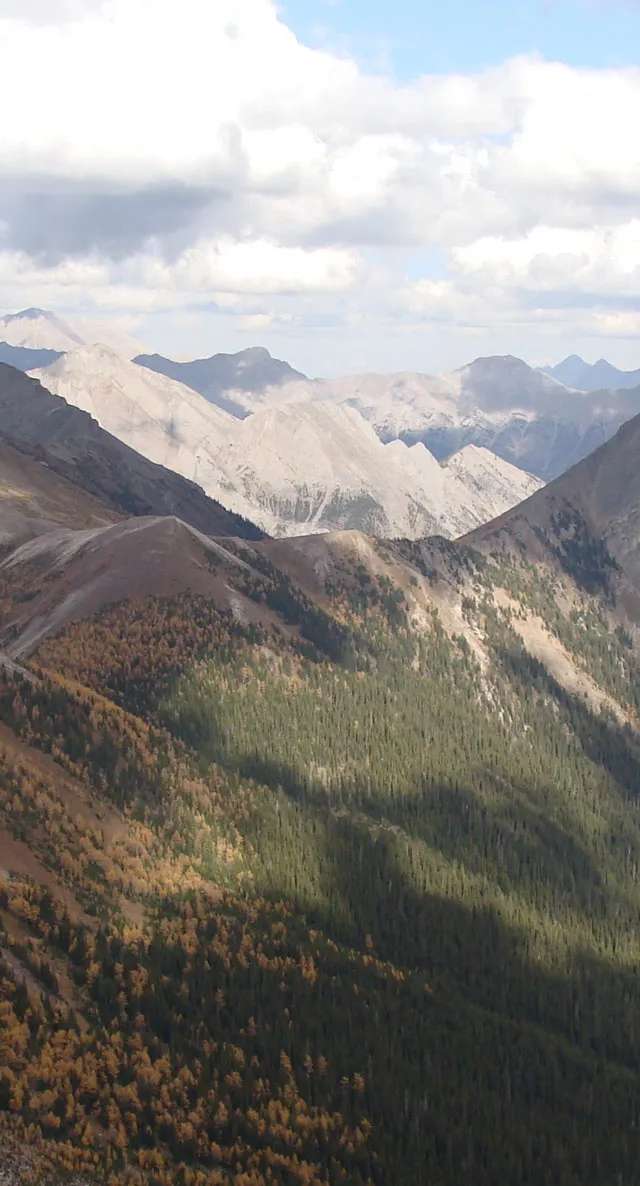 Photo of Elk Valley Bighorn Outfitters in Kootenays, BC