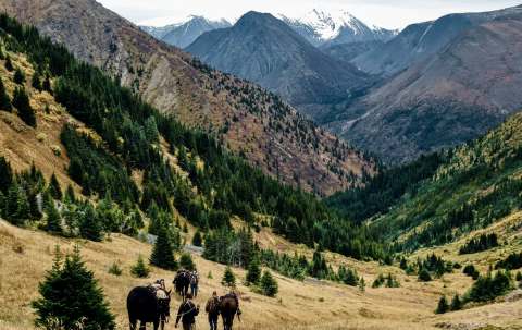 Photo of Gundahoo River Outfitters in Peace Country, BC