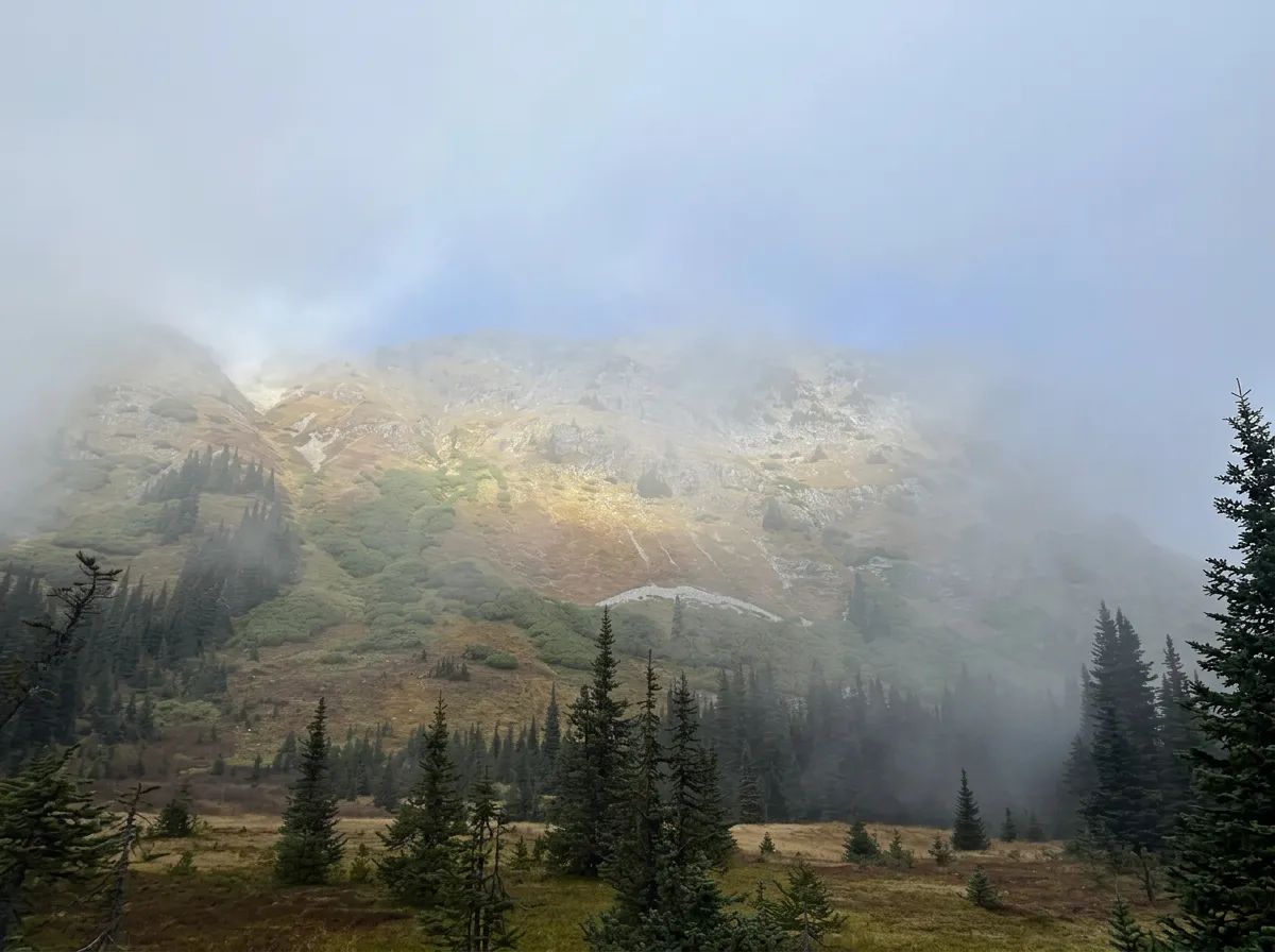 Photo of Gunsight Peak Outfitting Inc. in Lower Mainland, BC