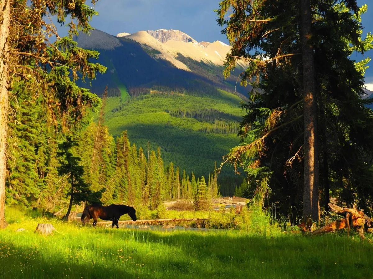 Photo of Height of the Rockies Adventure Co. in Kootenays, BC