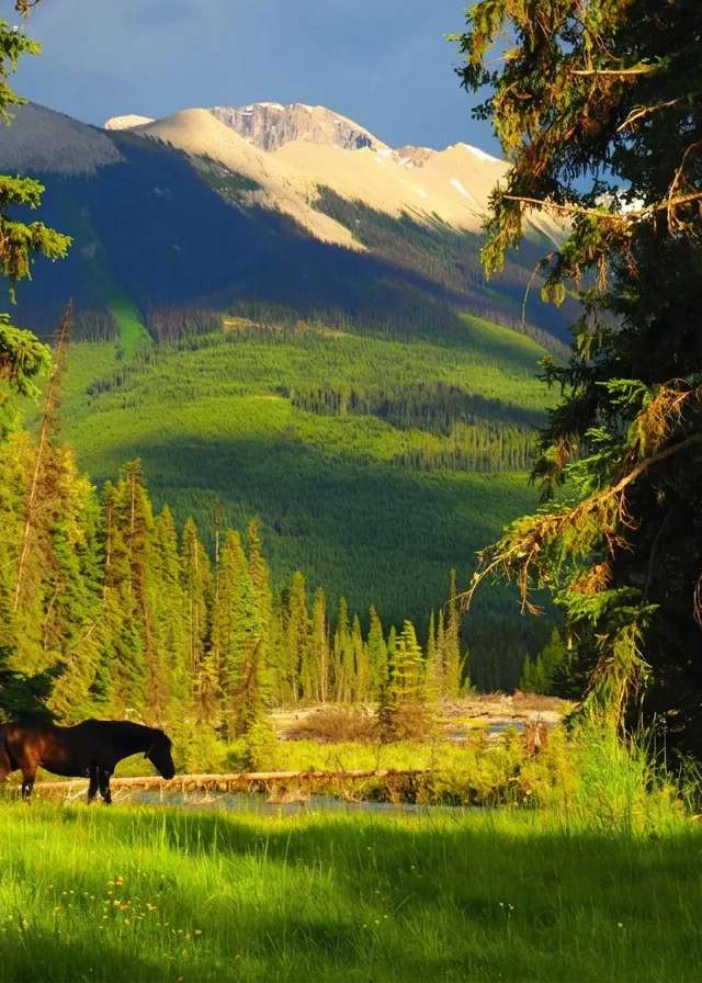 Photo of Height of the Rockies Adventure Co. in Kootenays, BC