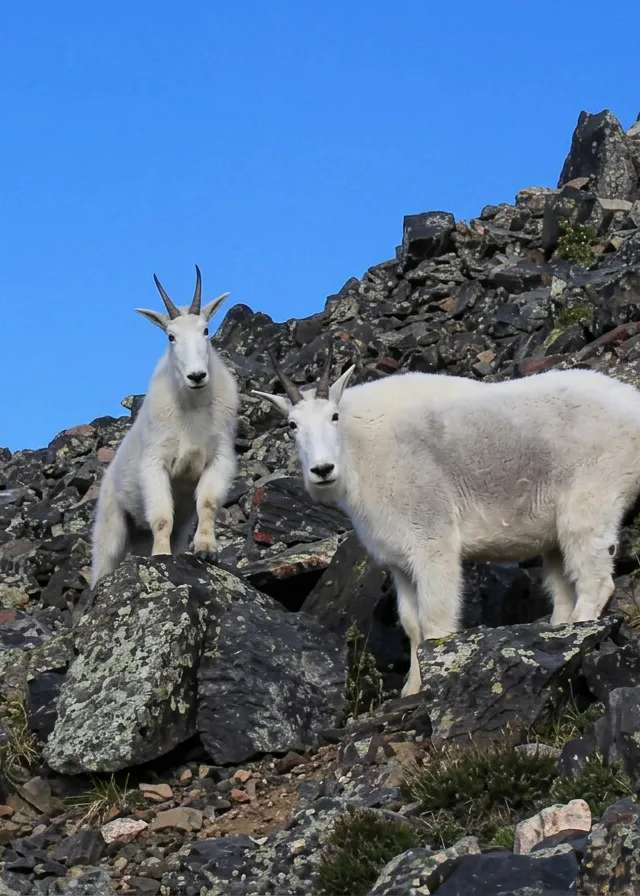Photo of Kildala Adventures Ltd. in Skeena Country, BC