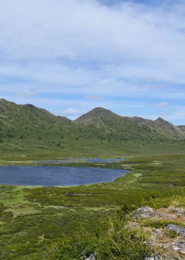 Photo of Kispiox Valley Outfitters in Skeena Country, BC