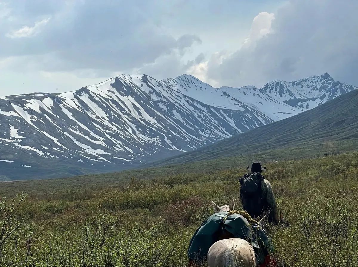 Photo of Last Frontier Hunting Company Ltd. in Skeena Country, BC