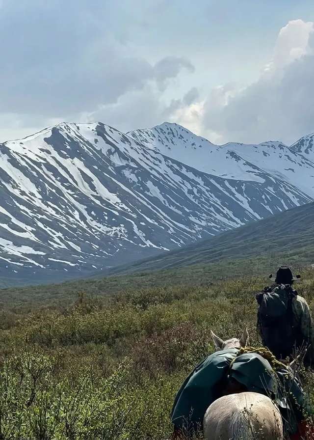 Photo of Last Frontier Hunting Company Ltd. in Skeena Country, BC