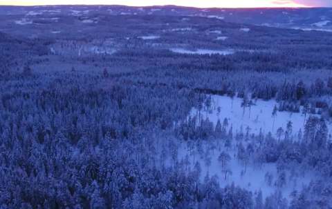 Photo de Lobo Peak Outfitters Ltd. dans les Omineca, Bc