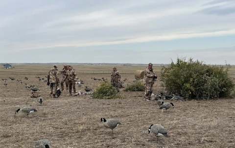 Photo of Boss Guiding in Central Alberta, AB
