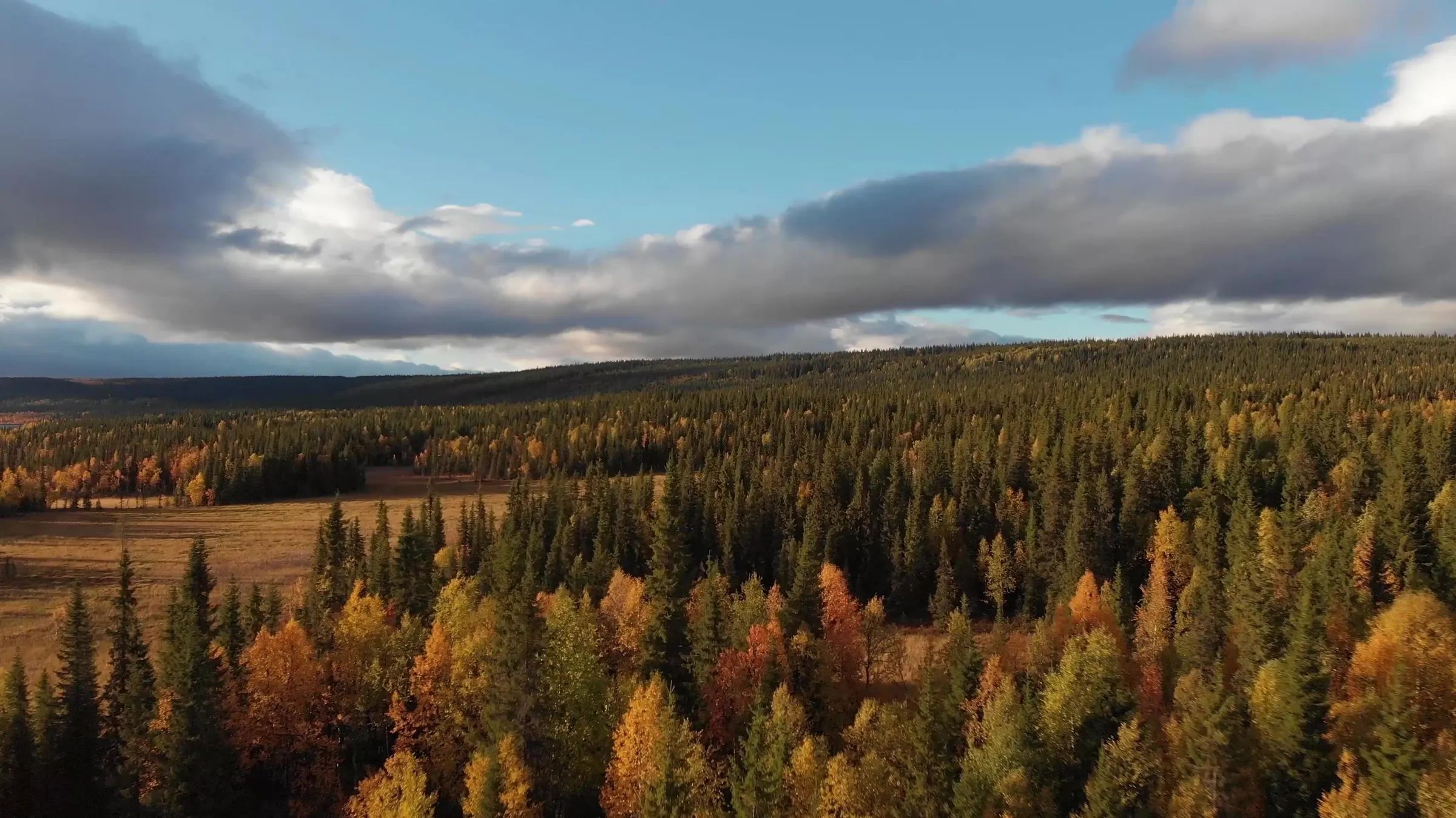 Photo de Emily Plihal Guiding & Outfitting dans la Région de la Peace, Ab