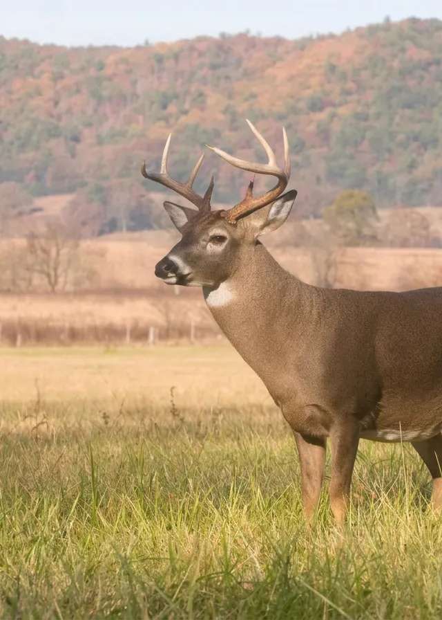 Photo de Grand Slam Hunting Adventures Ltd. dans la Région d'Edmonton, Ab