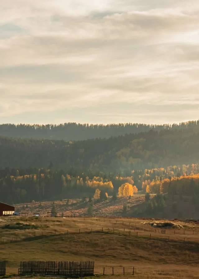 Photo of Grease Creek Outfitters in Foothills, AB