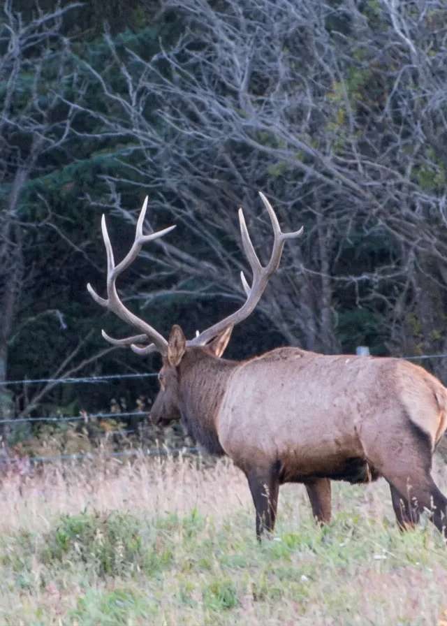 Photo de Guinn Outfitters Ltd. dans les Kananaskis, Ab