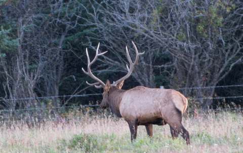 Photo of Guinn Outfitters Ltd. in Kananaskis, AB